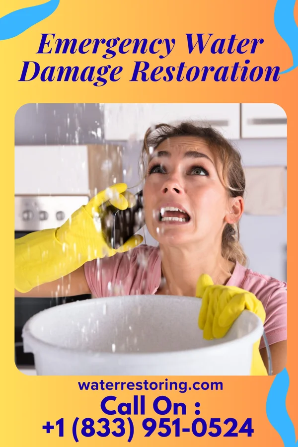 Emergency Water Damage Restoration in Dexter, KS
